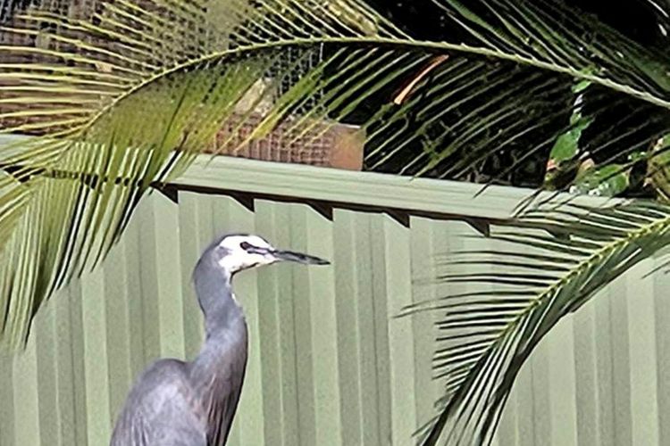 The Loft at Long Beach