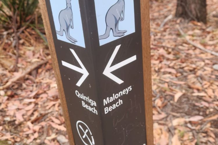 Light and Bright at Maloneys