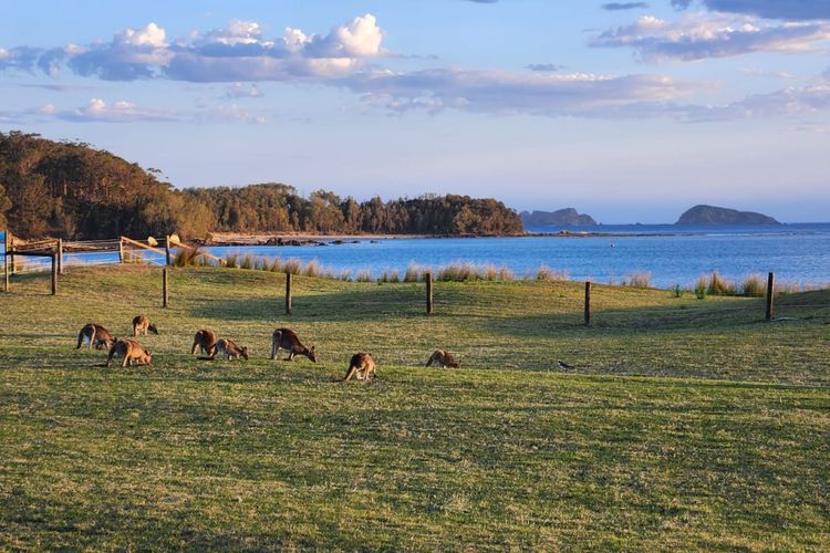 Light and Bright at Maloneys