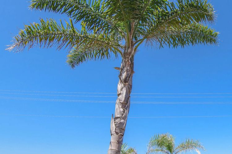 Casey’s Beach House