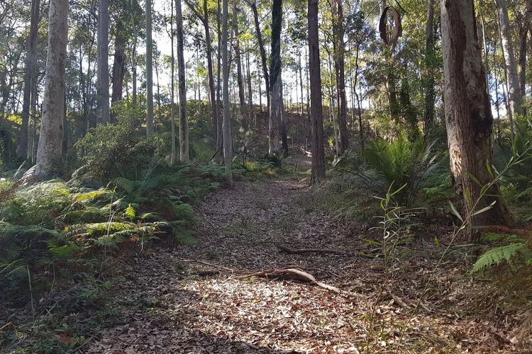 Bertha’s at Long Beach