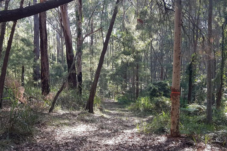 Bertha’s at Long Beach