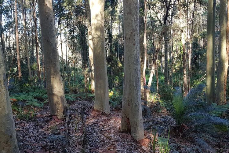 Bertha’s at Long Beach