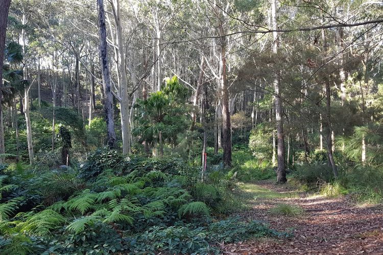 Bertha’s at Long Beach