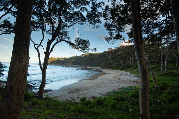 Daydream by the Beach