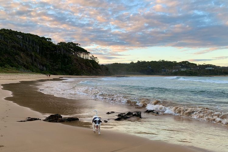 Seascapes at Rosedale