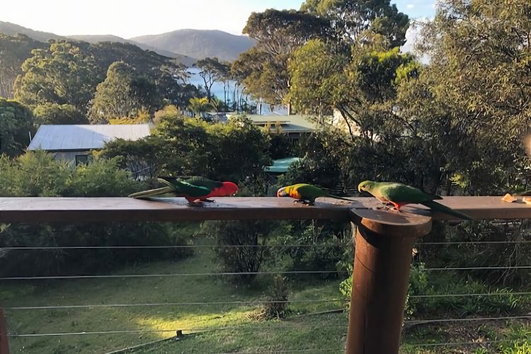 Carr Street Murramurang National Park