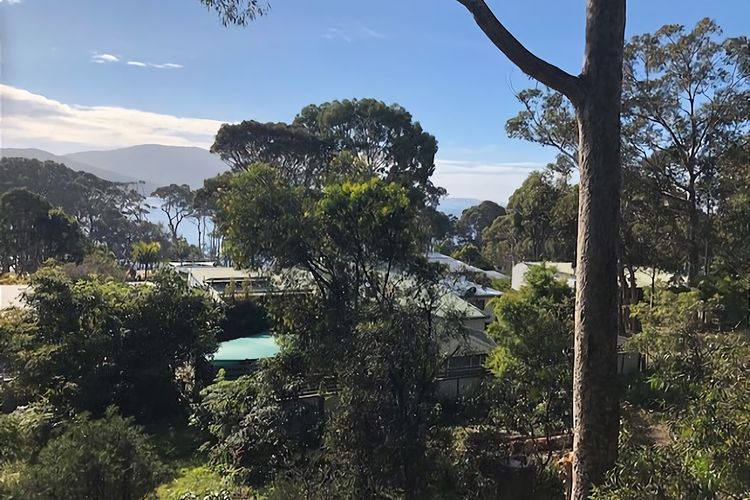 Carr Street Murramurang National Park