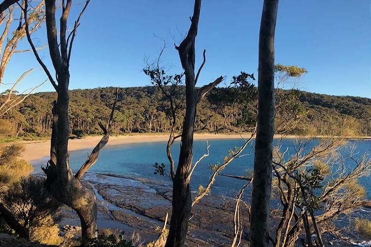Carr Street Murramurang National Park
