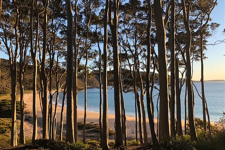 Carr Street Murramurang National Park