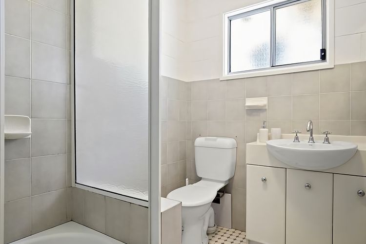 King of the World Rosedale