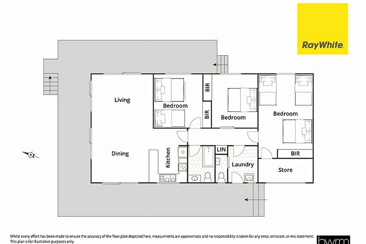 King of the World Rosedale