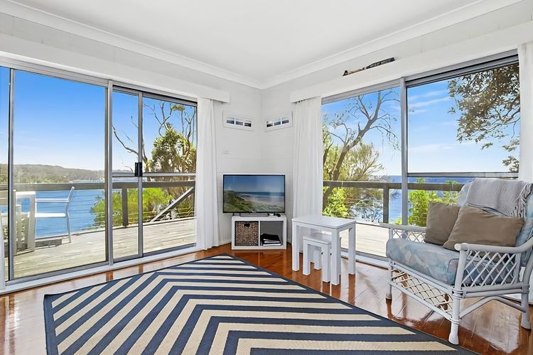 King of the World Rosedale