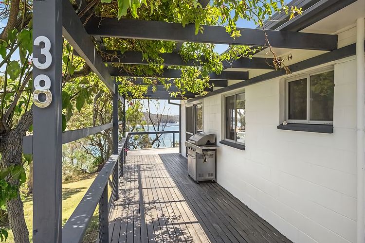 King of the World Rosedale