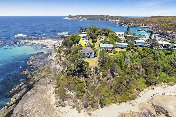 King of the World Rosedale