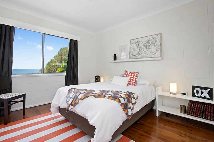 King of the World Rosedale