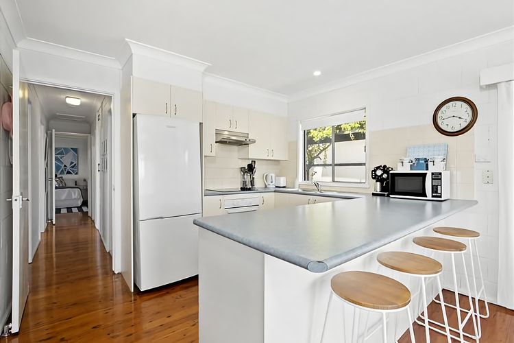 King of the World Rosedale