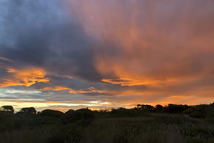 Sunpatch at Tomakin Beach