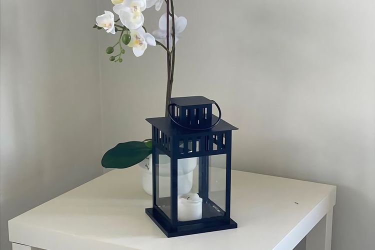 Malua Bay Beach house