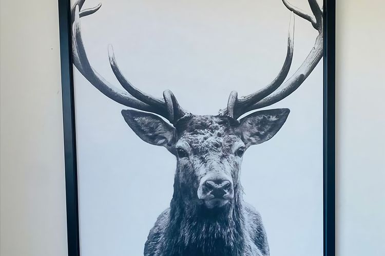 Malua Bay Beach house