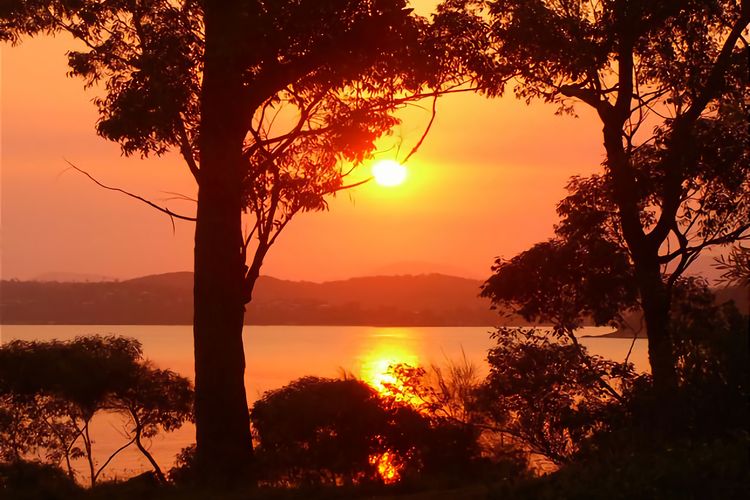 Northcove Road Clifftop Living