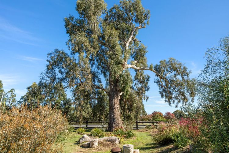 Stockmans Rise – Seasonal Rental