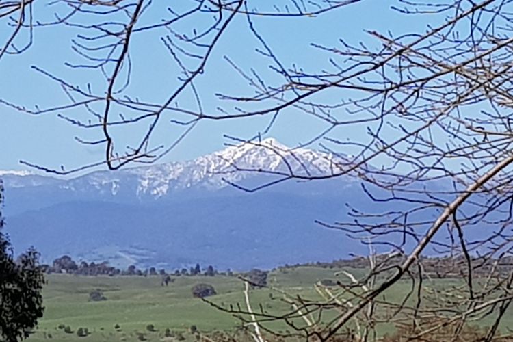 Mt Buller taken from Mansfield