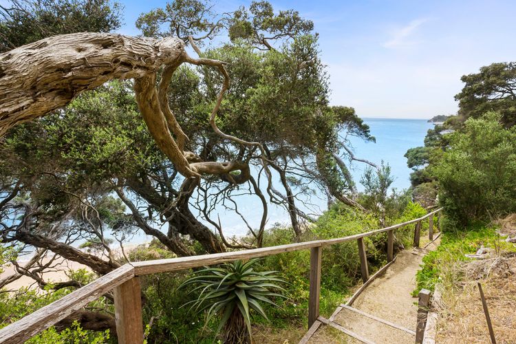 Fishermans Beach Cliff Top