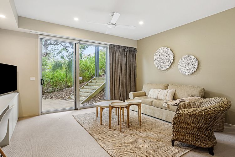 Treetops on Seaview