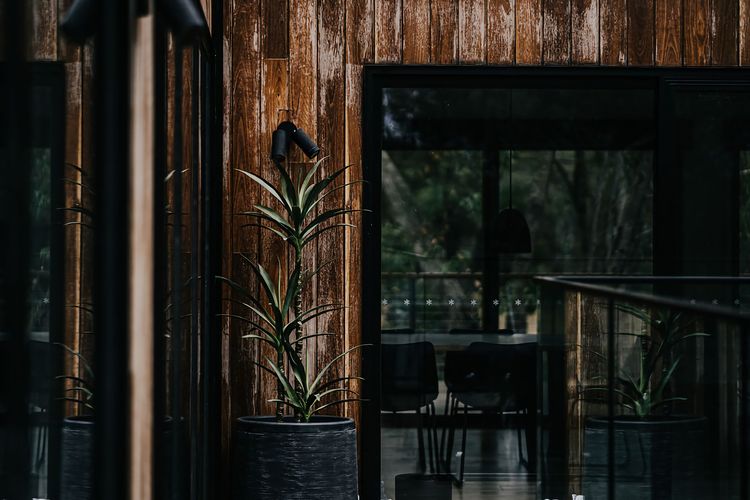 The Deck