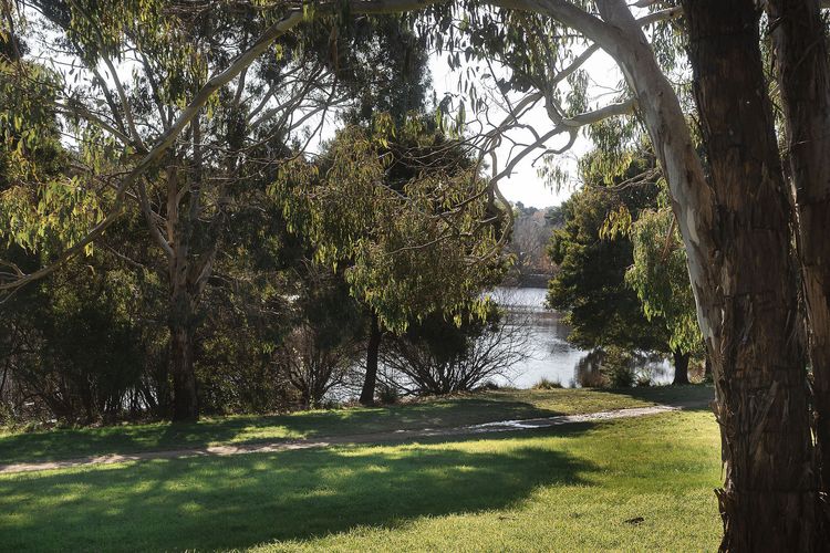 Lake Daylesford Lodge 7