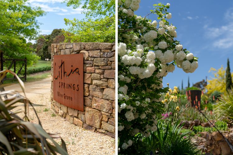Lithia Guest House