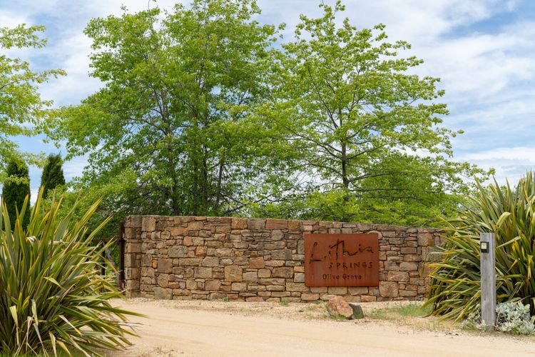 Lithia Guest House