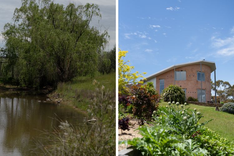Lithia Guest House