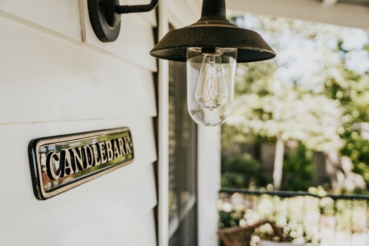 Candlebark