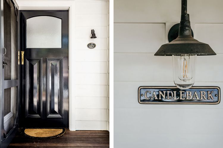 Candlebark