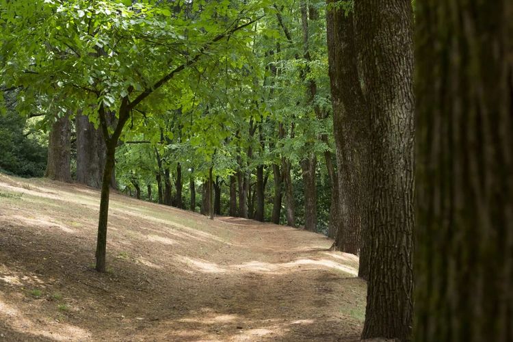 Hill Haven