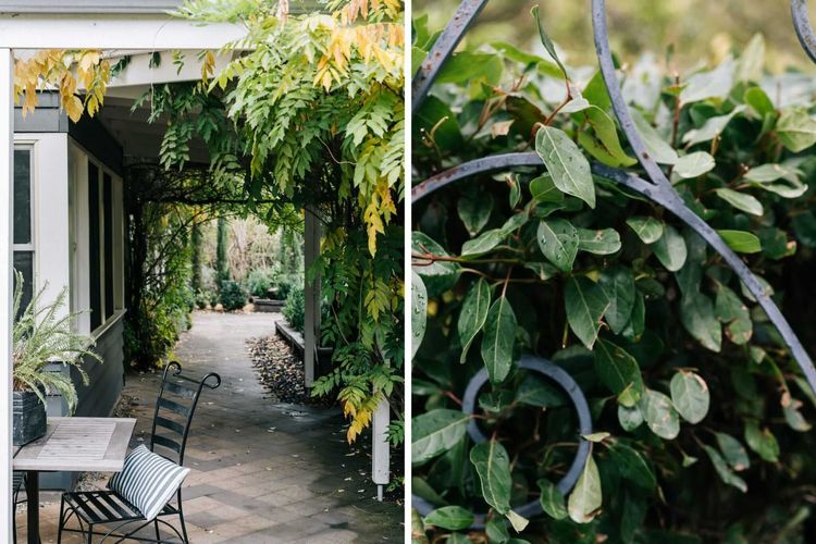 The Garden House