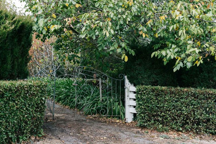 The Garden House