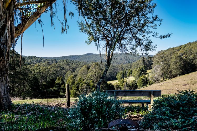 Otway Valley Lodge