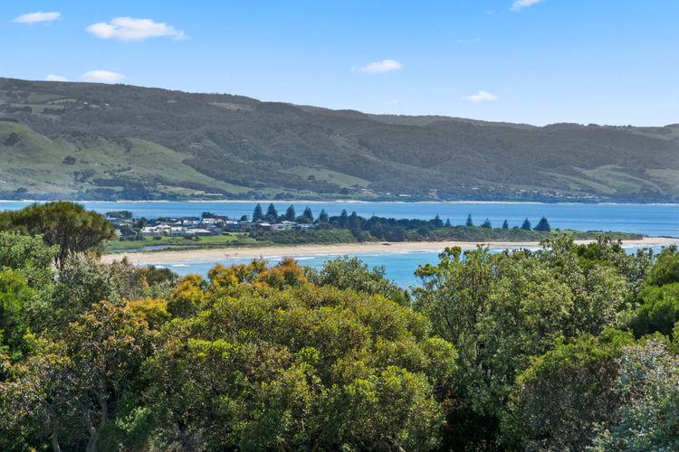 The Hamptons At Marengo