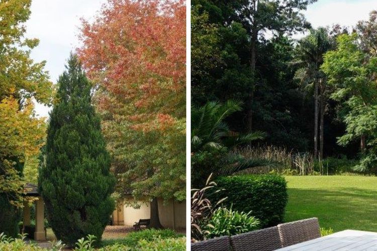 Kevalier Park, Berry