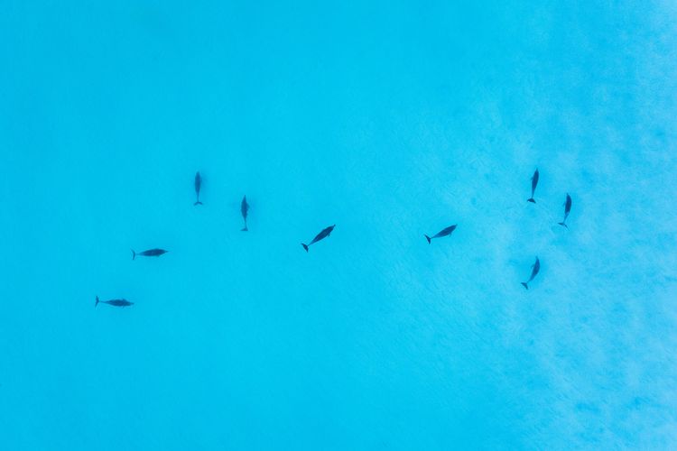 Mermaid Cottage at Hyams Beach