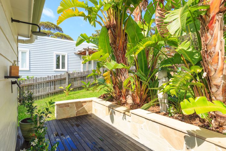 Nautilus at Hyams Beach