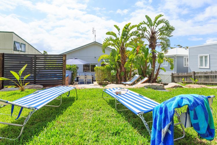 Nautilus at Hyams Beach