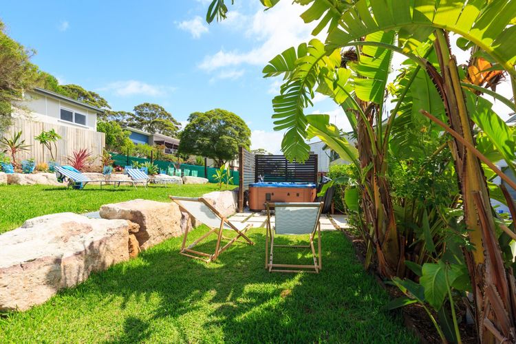 Nautilus at Hyams Beach