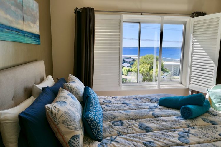 Nautilus at Hyams Beach