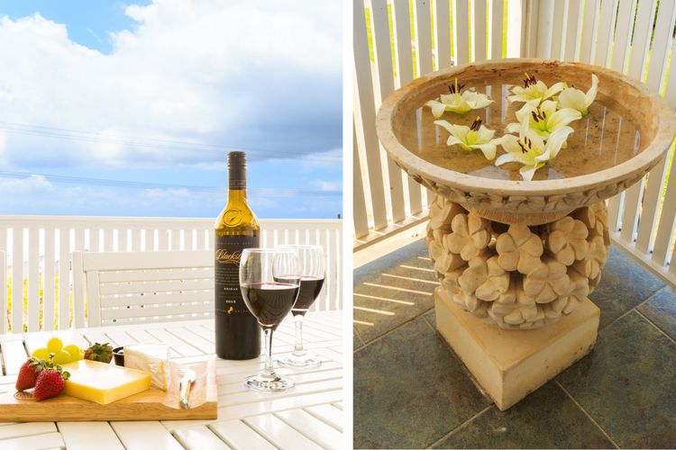 Nautilus at Hyams Beach