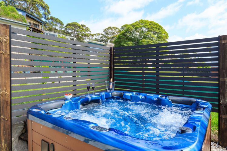 Nautilus at Hyams Beach