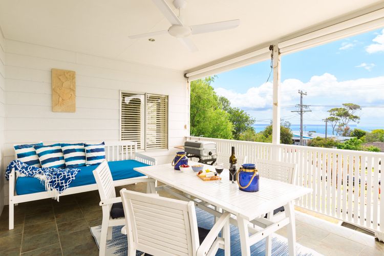 Nautilus at Hyams Beach